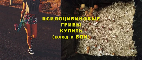 PSILOCYBIN Аша