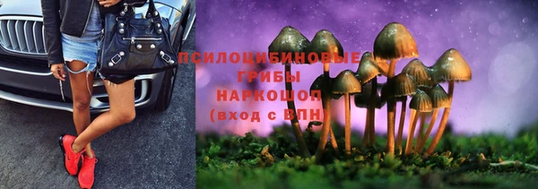 мескалин Михайлов