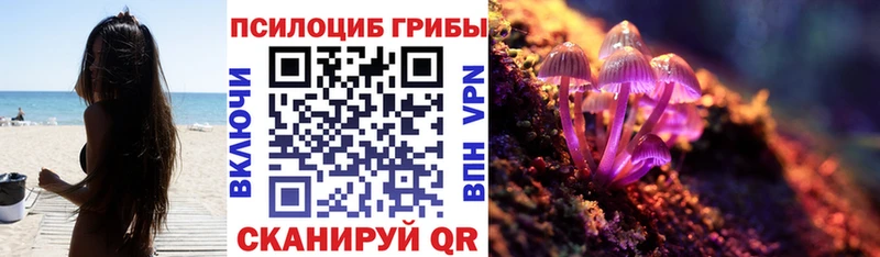 Галлюциногенные грибы Psilocybe  цена   Шагонар 