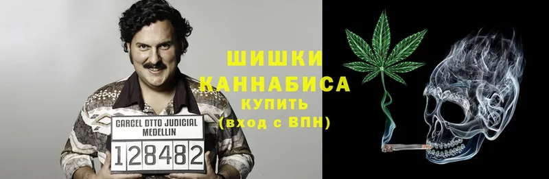 как найти   Шагонар  Марихуана OG Kush 